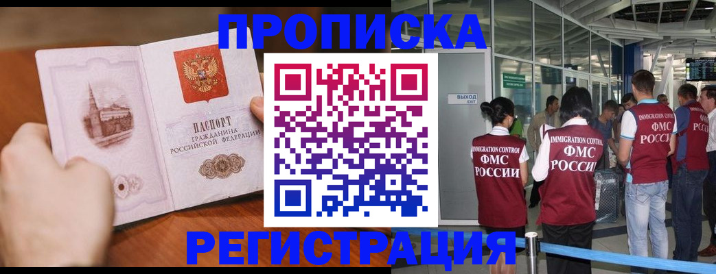 прописка законно в Сольцах
